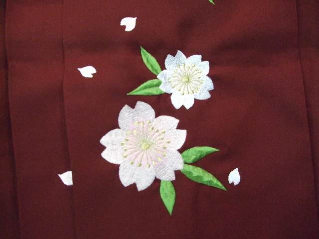 ��󥿥�ӡ֥���̵��/���ɽ��ס���������̵����Ⱦ������