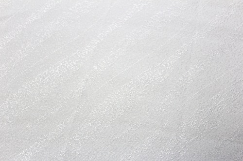 �ǹ��ð�������ּ�����פ��Ф����ᡦ������Ω