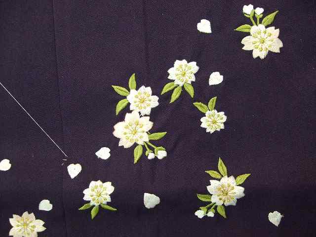 󥿥ӡֻܤ/ɽס̵Ⱦӥå