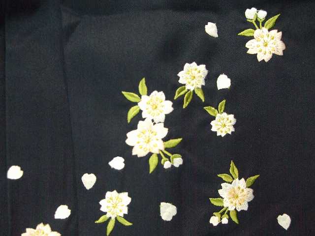 ��󥿥�ӡֺ���̵��/���ɽ��ױ�������̵����Ⱦ���ӥ��å�