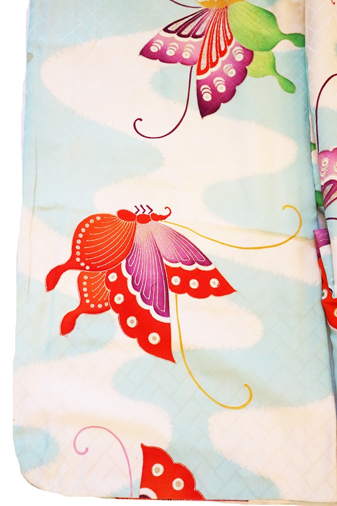 �����Ҷ���ʪ�ʻͤĿȡ˥�󥿥�ե륻�åȡ�ή���ĳ��