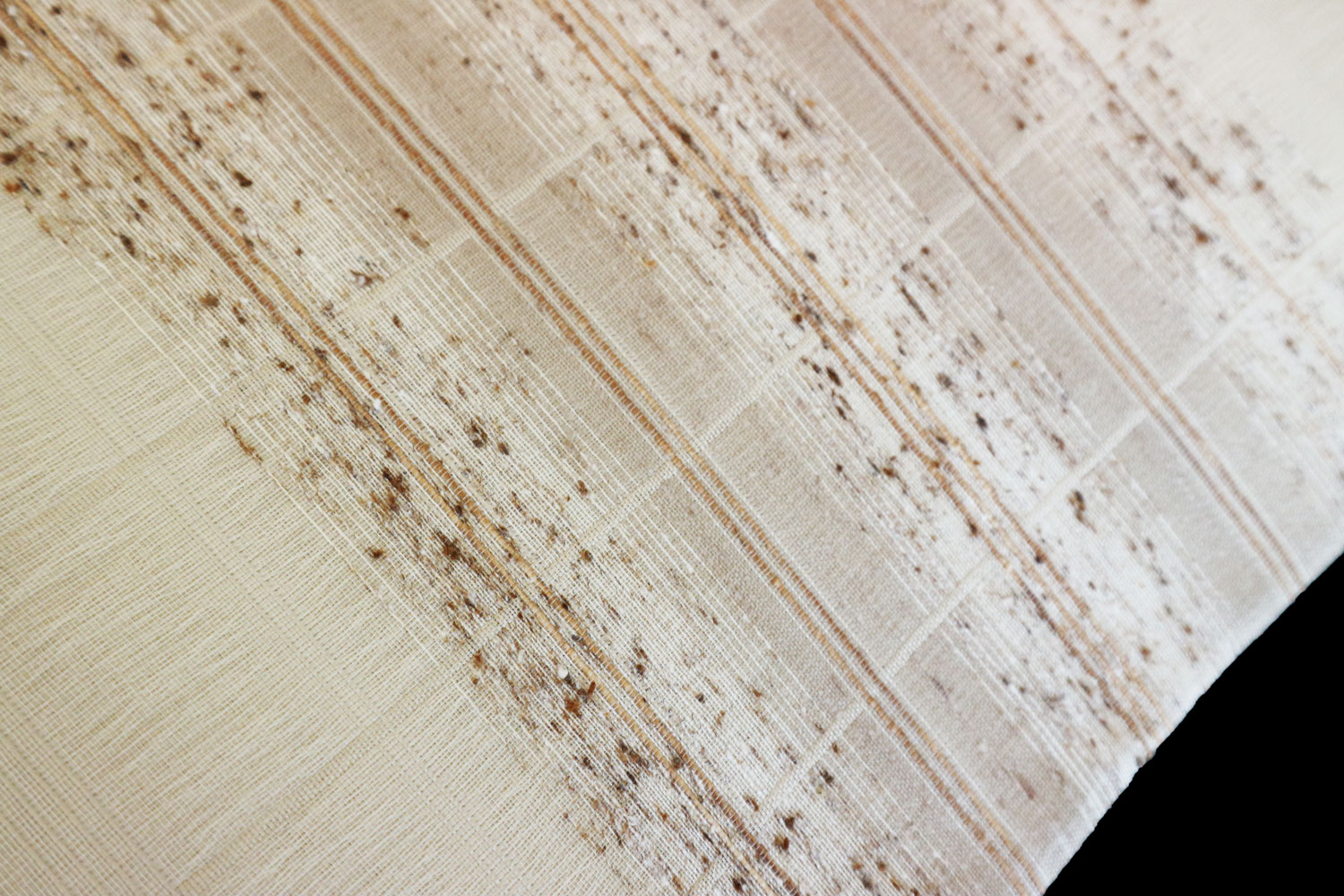 Ω夬꾦ʡӡֲʳʻҡ