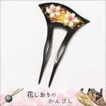 󤶤  ɷ Х ֤ Хϡ٤ä䡡8854-1