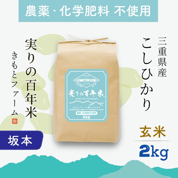坂本01】2025年産 実りの百年米 農薬・化学肥料不使用 KIMOTOファーム