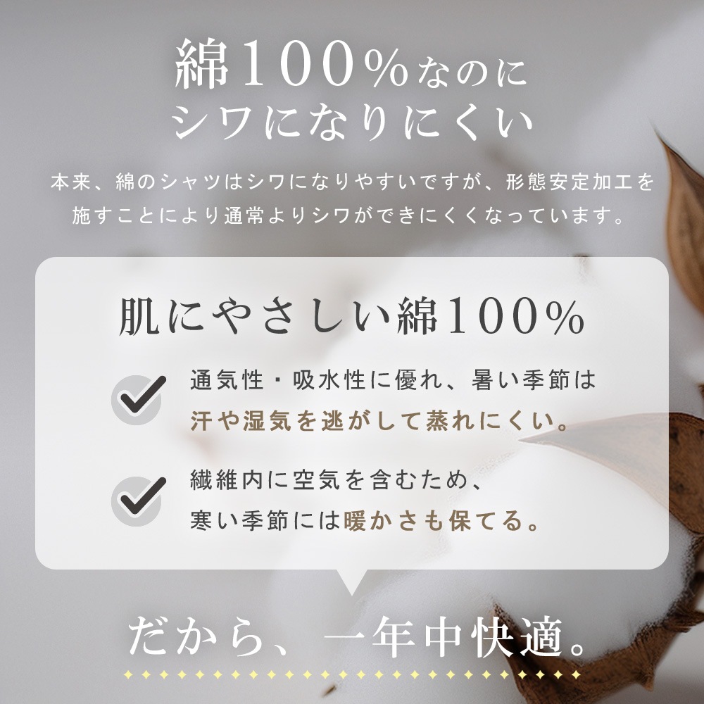 �ڤޤȤ��ۥ磻����� ��100�� ��� Ĺµ �������� �ܥ�������� ���ߥ磻�ɥ��顼 ���ְ��� ���åȥ� Y����� ���å�������� ������ӥ� �ӥ��ͥ� �����奢�� �򥷥�� �� ���ȥ饤�� ����� �� �� �� �� ��