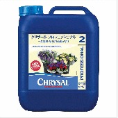 ץեåʥʱΡˡǧνвپ