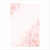 ̾�������ɡ��ˣСݣ���