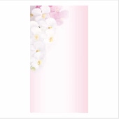 ̾�������ɡ��ͣСݣ���