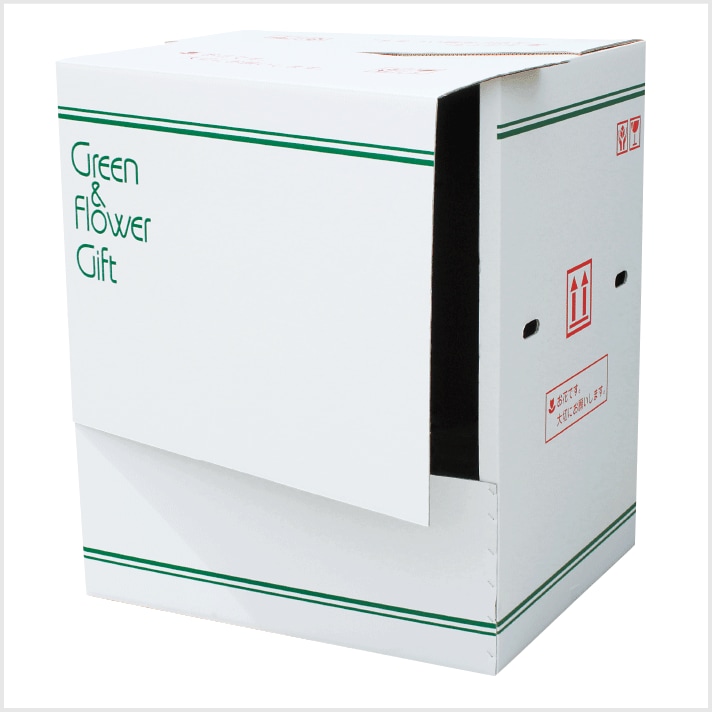 �����祦��󥸥���