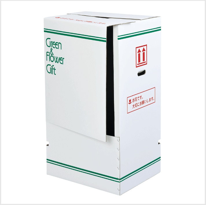 �����祦���̣�-������