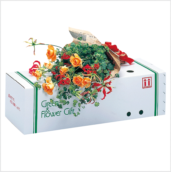 花束LL | ギフトボックス,花束シリーズ |花の資材・木札関連なら