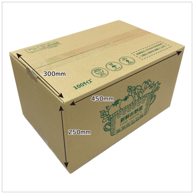 Vegebo】 野菜100A | ギフトボックス,Vegebo(ベジボ） |花の資材・木札