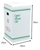 ����󥸣ӣ�.