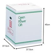 ����󥸣̣�.