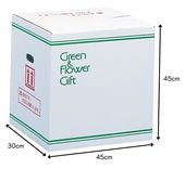 �����No.5.