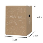 D����󥸣�.