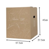 D����󥸣̣�.