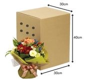 ̵�ϥ���󥸣�.