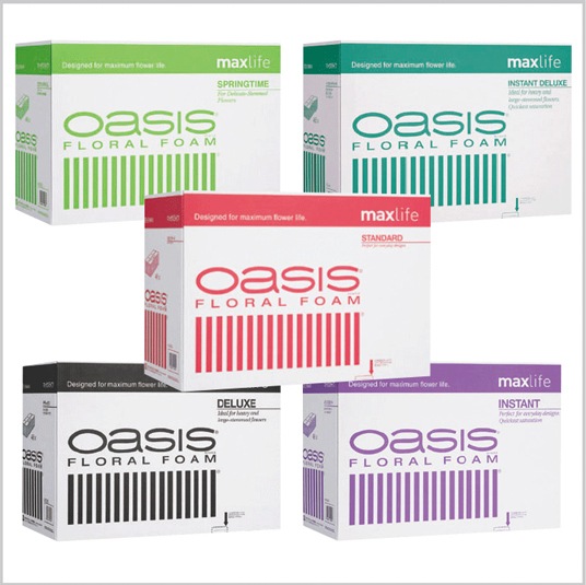 �ڥ᡼����ľ���ۥե������ե����ࡡ�����������ޥå����饤��