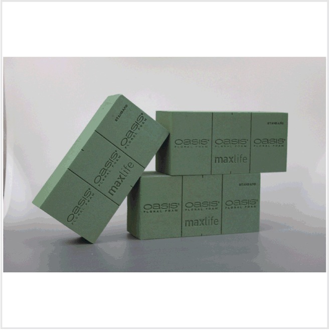 �ڥ᡼����ľ���ۥե������ե����ࡡ�����������ޥå����饤��