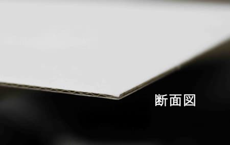 �������1.5mm��