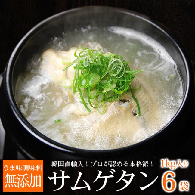 韓国直輸入！ プロが選んだ・業務用韓国宮廷料理 サンゲタン レトルト1ｋｇ×６袋（サムゲタン 参鶏湯）　常温・クール冷蔵便可 【送料無料】
