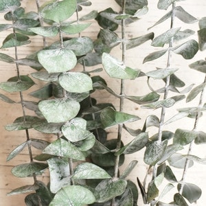 եȥ桼ڥɥ饤ե ޥåɥѡ