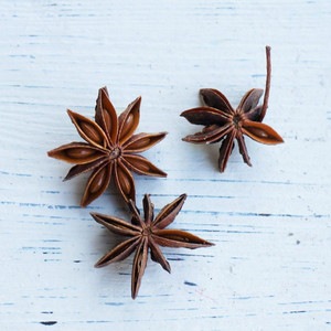 ˥ڥɥ饤ե ޥåɥѡ