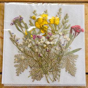 押花ミックスf 8種 パーツ 押し花 切手 キャンドル材料卸販売キナリ 押花ミックスf 8種 パーツ 押し花 切手 キャンドル材料卸販売キナリ