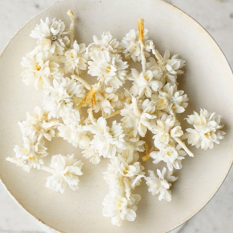 եڥɥ饤ե ޥåɥѡ