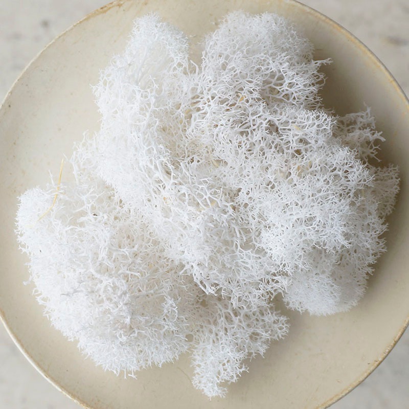 フィンランドモス ホワイト【ドライフラワー アロマワックスサシェ キャンドル制作用】 | パーツ,ボタニカル素材 | キャンドル材料卸販売キナリ アロマキャンドル・サシェ材料