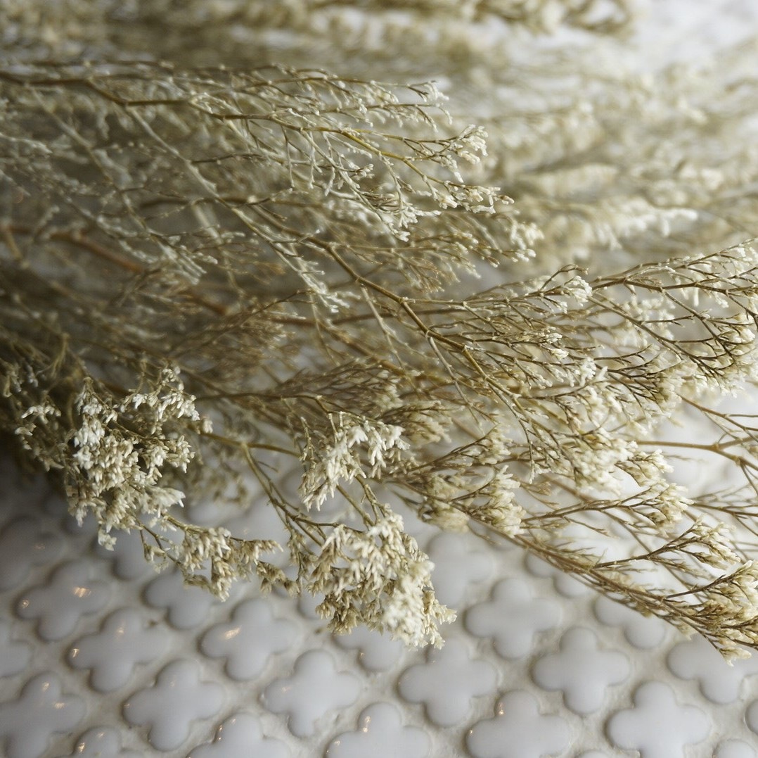 ԥ 3ڥץꥶ֥ɥե ޥå ɥѡ