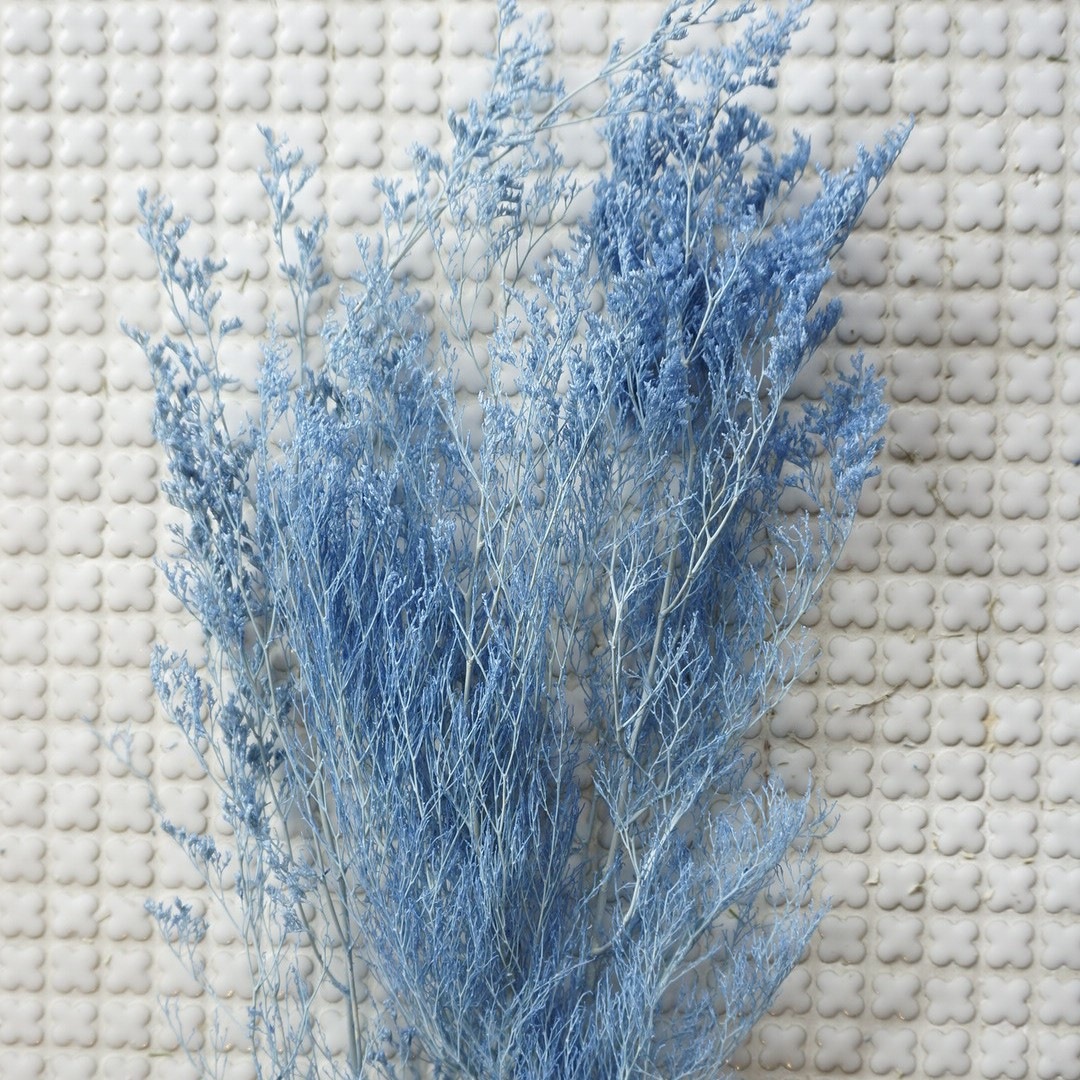 ԥ 3ڥץꥶ֥ɥե ޥå ɥѡ