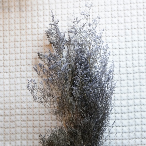 ԥ 3ڥץꥶ֥ɥե ޥå ɥѡ