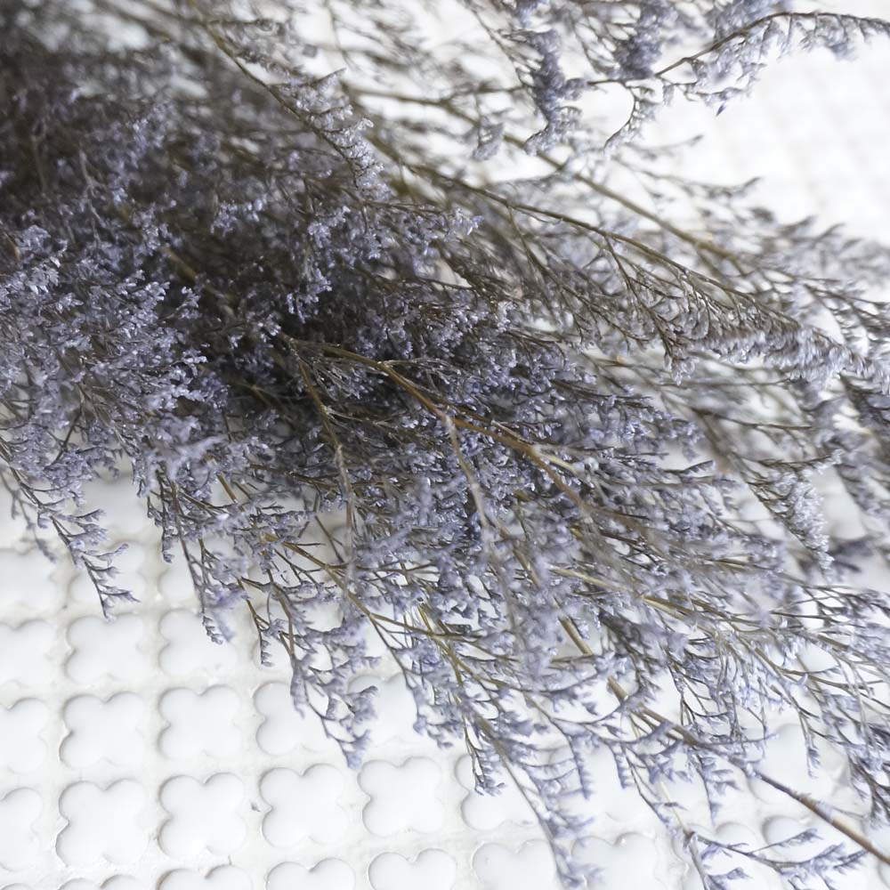 ԥ 3ڥץꥶ֥ɥե ޥå ɥѡ