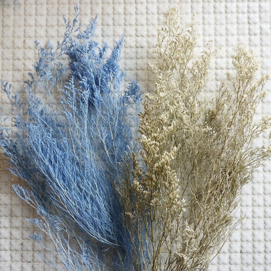 ԥ 3ڥץꥶ֥ɥե ޥå ɥѡ