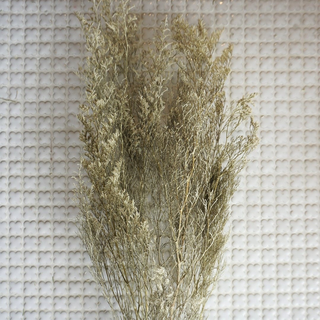 ԥ 3ڥץꥶ֥ɥե ޥå ɥѡ