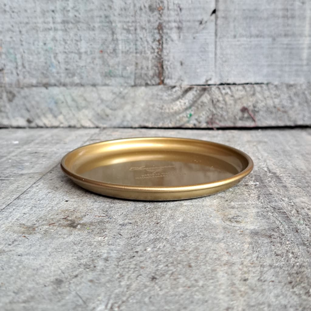 CHAMARREɥȥ쥤ɡ饦S