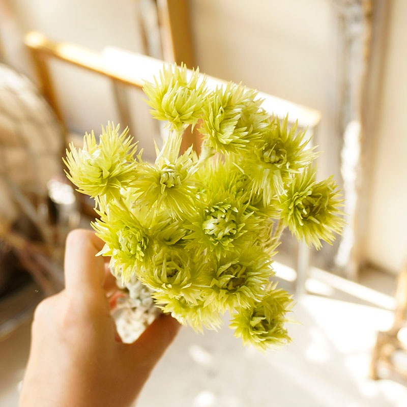 ߥ˥Сǥ7ڥɥ饤ե ޥå ɥѡ