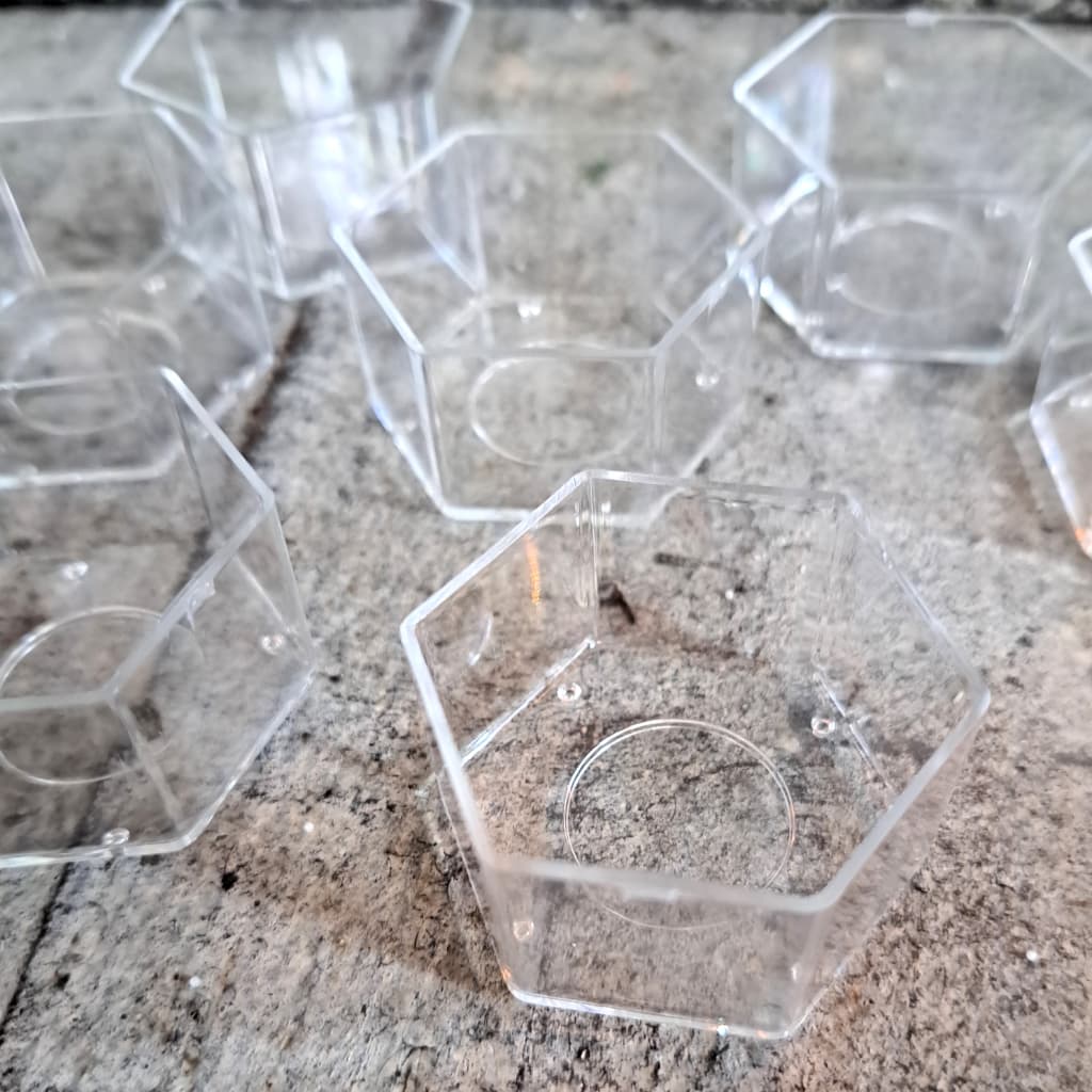 �ƥ����饤�ȥ⡼��ɡ�ϻ�ѷ���10�ġ�