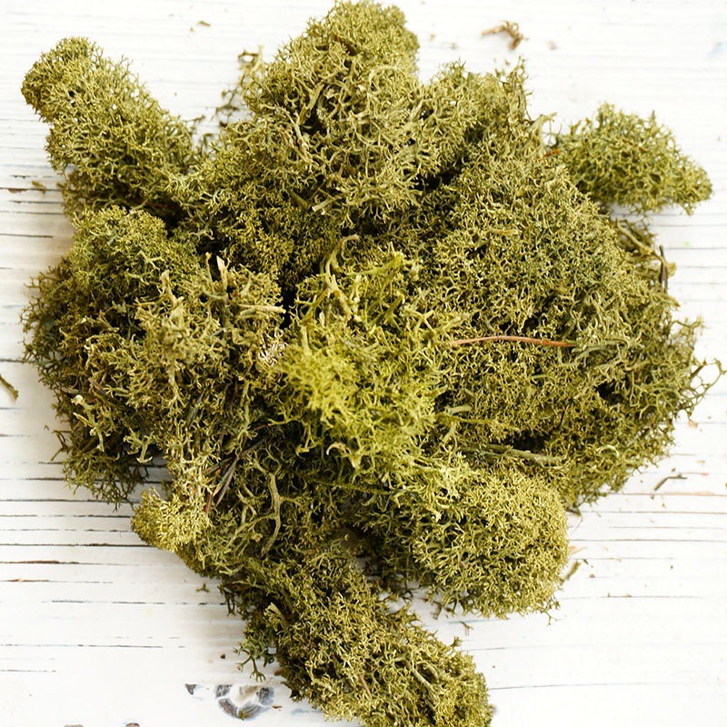 ɥ⥹2ڥɥ饤եޥåɥѡ