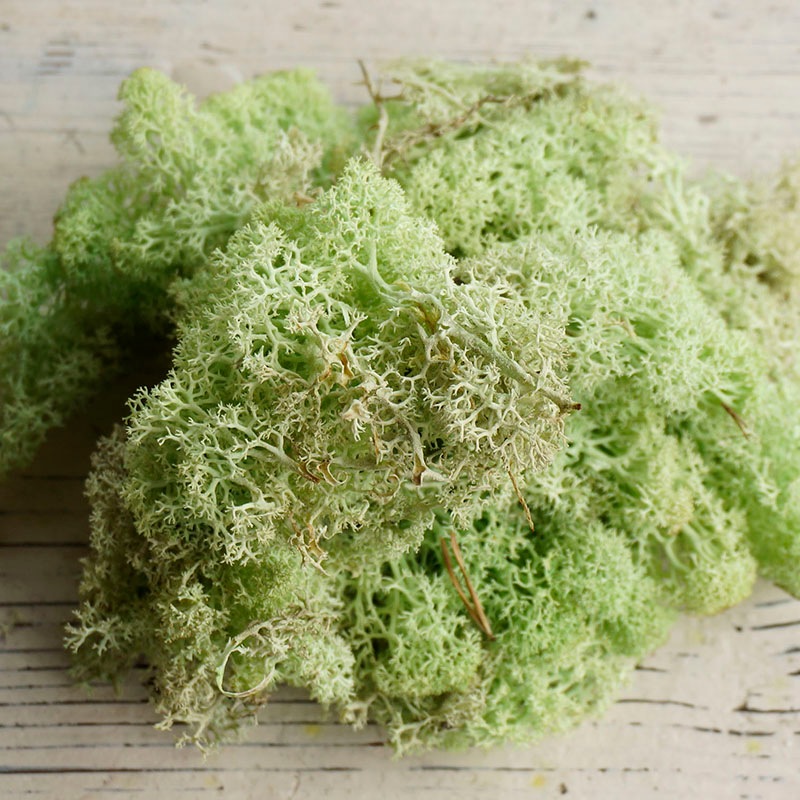 ɥ⥹2ڥɥ饤եޥåɥѡ