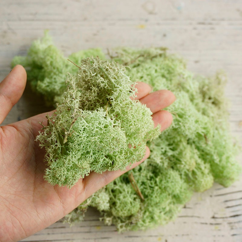 ɥ⥹2ڥɥ饤եޥåɥѡ