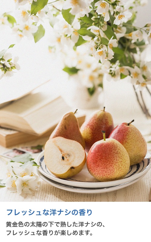 ڥɥѡɥڹ񻺡ۥޥ롡English Pear & Freesia (JM Type)20ml:100ml