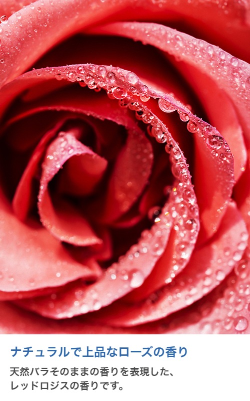 �ڥ����ɥ��ѡ������ɥ��������ڹ񻺡ۥ����ޥ����롡Red Roses (JM Type)��20ml:100ml��