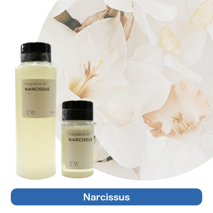 ڥɥѡɥڹ񻺡ۥޥ롡Narcissus20ml:100ml