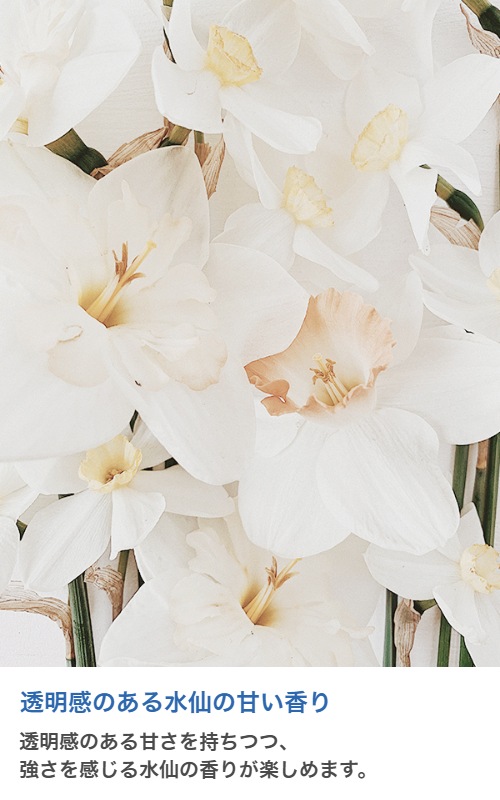 ڥɥѡɥڹ񻺡ۥޥ롡Narcissus20ml:100ml