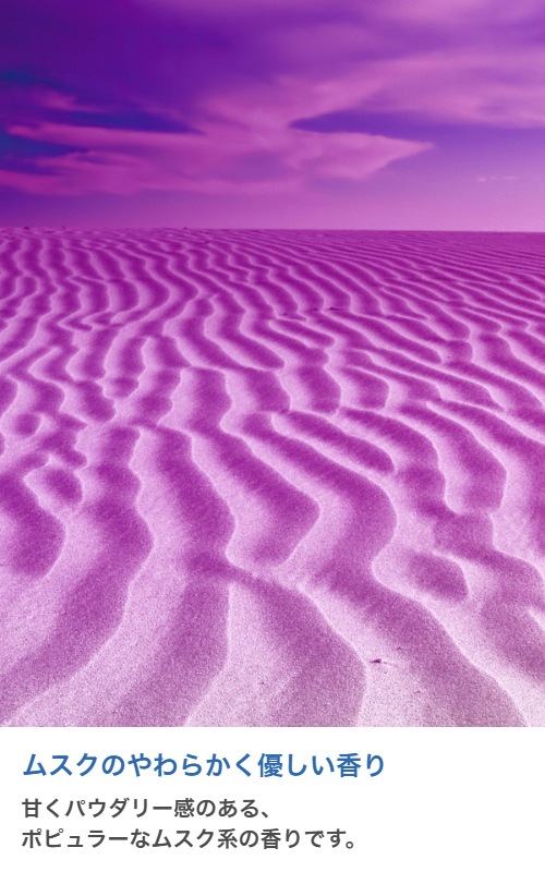 ڥɥѡɥڹ񻺡ۥޥ롡White Musk (Body Type) 20ml:100ml