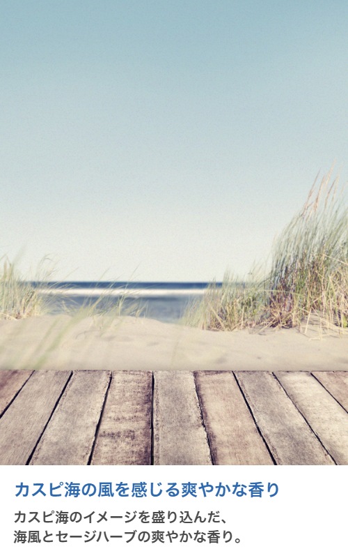 �ڥ����ɥ��ѡ������ɥ��������ڹ񻺡ۥ����ޥ����롡Wood Sage & Sea Salt (JM Type)��20ml:100ml��