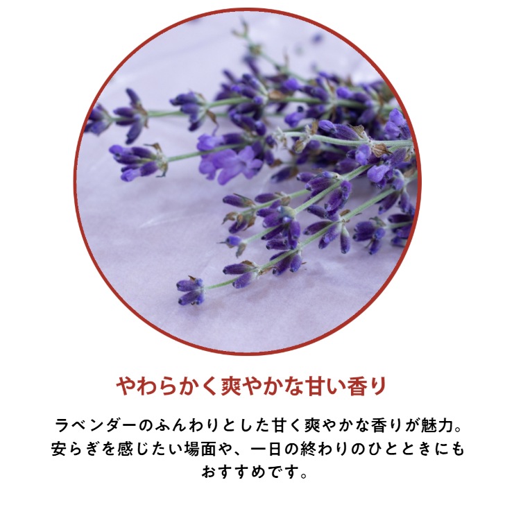 �ڥ����ɥ��ѡ��񻺡ۥ����ޥ����롡��٥������30ml:100ml��